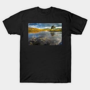 Kelly Hall Tarn Lake View with Pine Tree T-Shirt